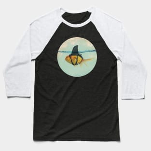 Goldfish with a Shark Fin Baseball T-Shirt